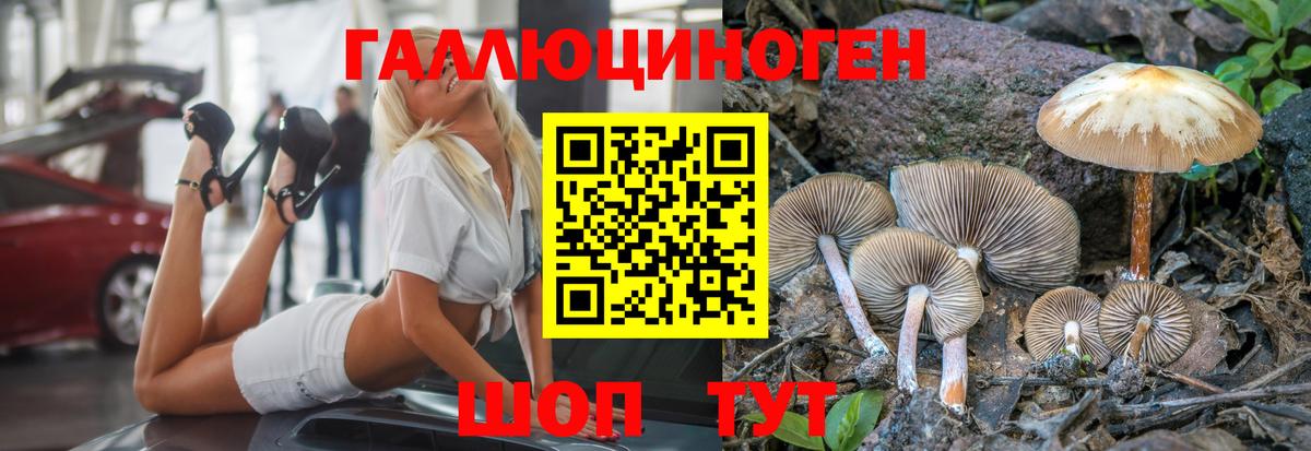 Галлюциногенные грибы мицелий Кинель