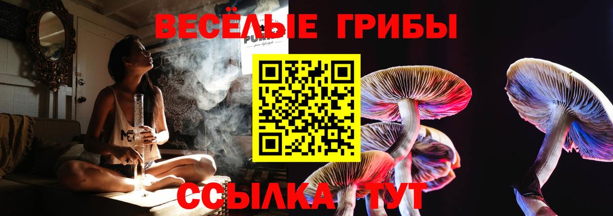 Кинель  Псилоцибиновые грибы MAGIC MUSHROOMS  Вход с VPN 